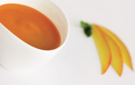 Mangopüree Tiefkühl Fruchtpüree Obstpüree Leipzig Westfro Köhra